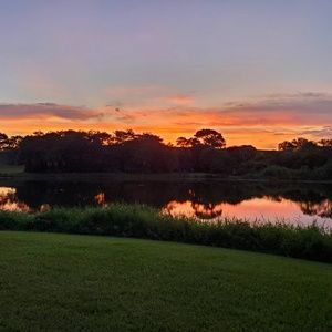 Meet your Posher, Natasha